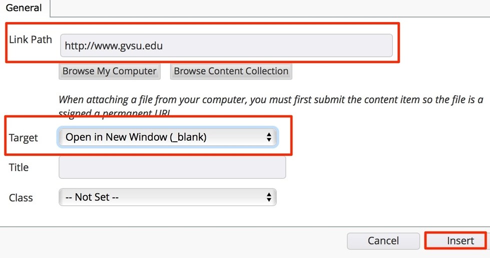 type the URL in the link path field, change target to open in new window, and click insert